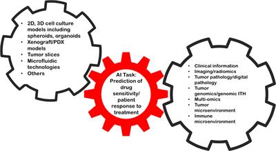 Kidney Cancer Models for Pre-Clinical Drug Discovery: Challenges and Opportunities